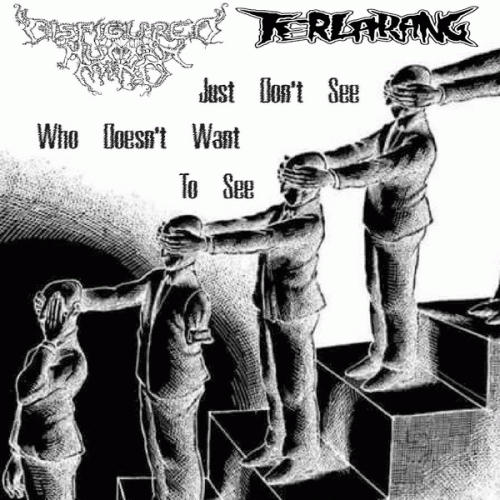 Disfigured Human Mind : Just Don't See Who Doesn't Want to See